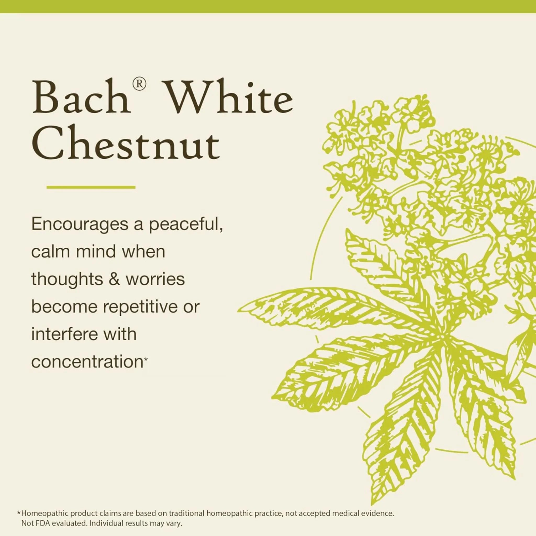 Bach White Chestnut 20 ml