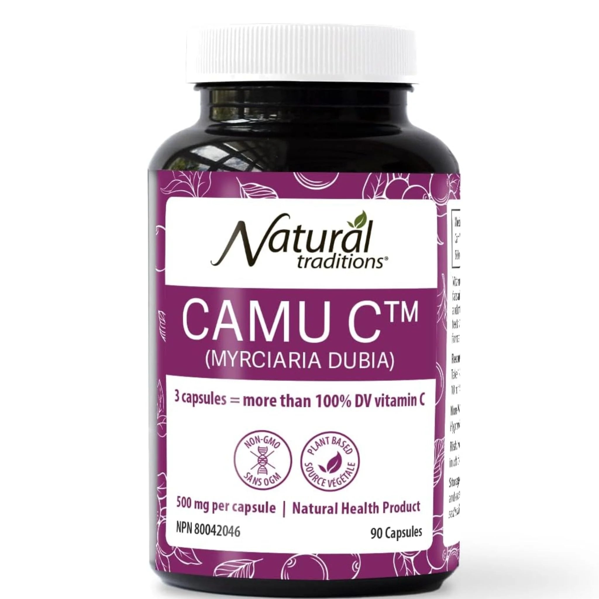Natural Traditions Camu C Berry 500mg (90 Capsules)