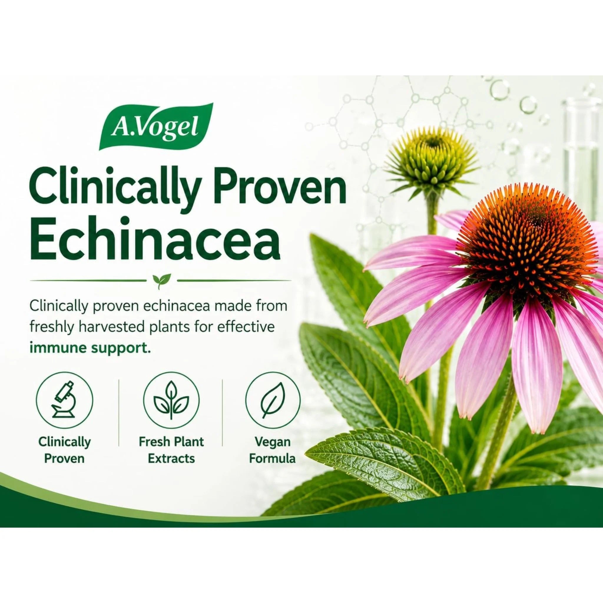 A. Vogel Echinaforce 50ml