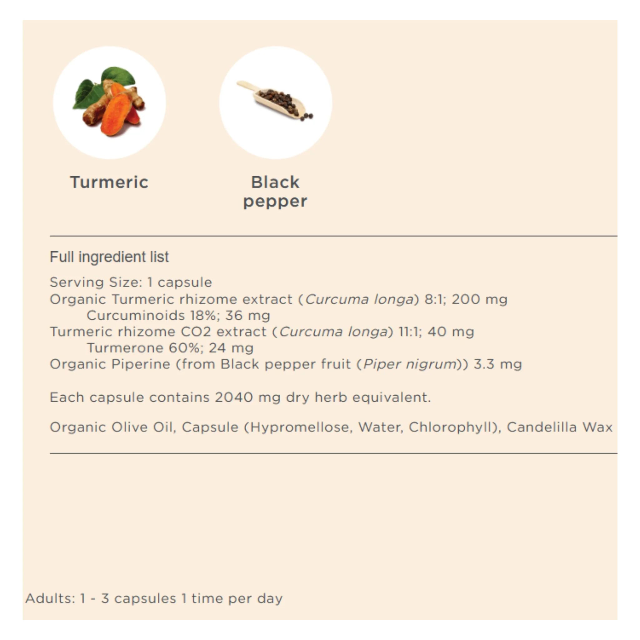 Botanica Turmeric Liquid Phytocaps (60 Capsules)