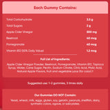 Goli Apple Cider Vinegar Gummy Vitamins 240g (60 Gummies) - Nature's Source Inc