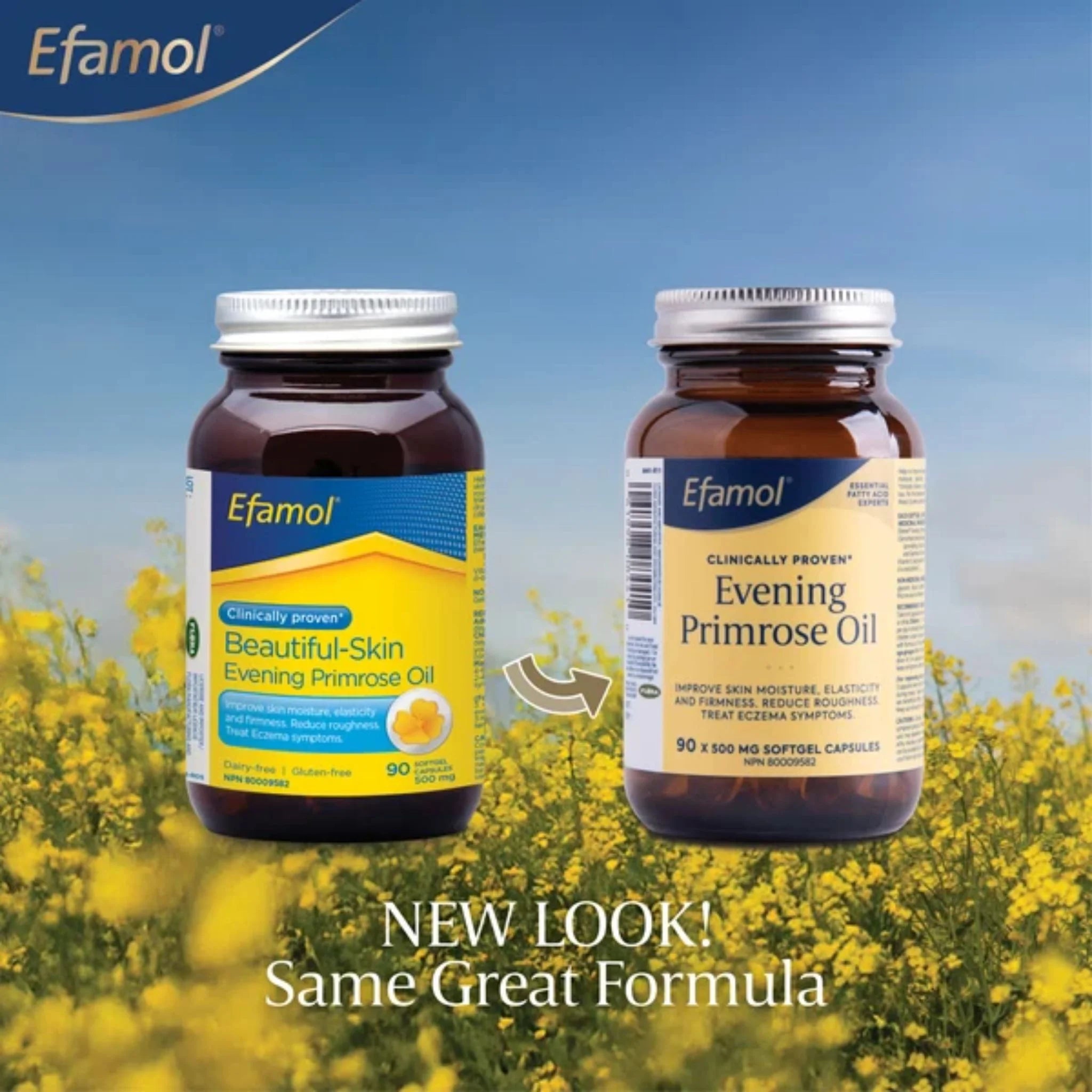 Efamol Evening Primrose Oil 500mg 90 Capsules