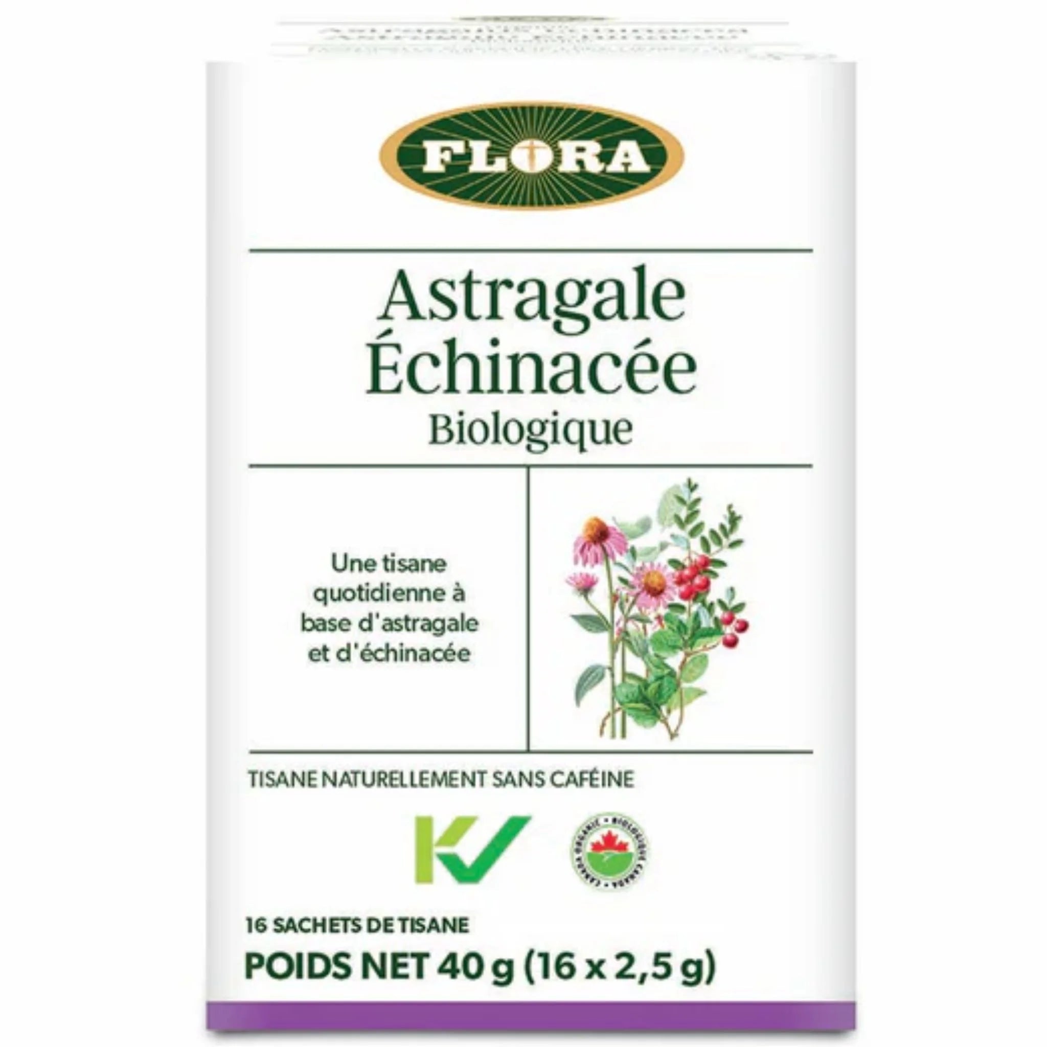Flora Astragalus Echinacea Tea 16 Bags - Naturally Caffeine-Free, Creates Daily Cup of Tea With Smooth, Complex Flavour