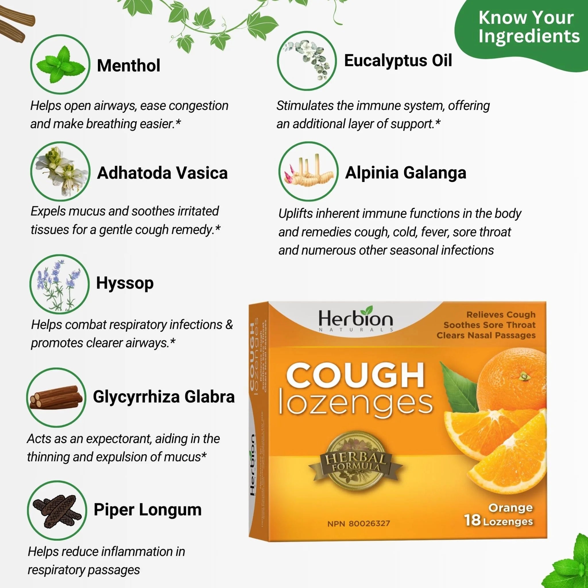 Herbion Orange Cough 18 loz