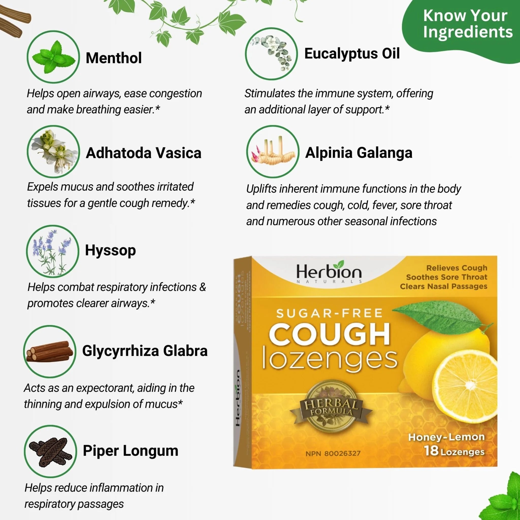 Herbion Sugar Free Honey Lemon 18 loz