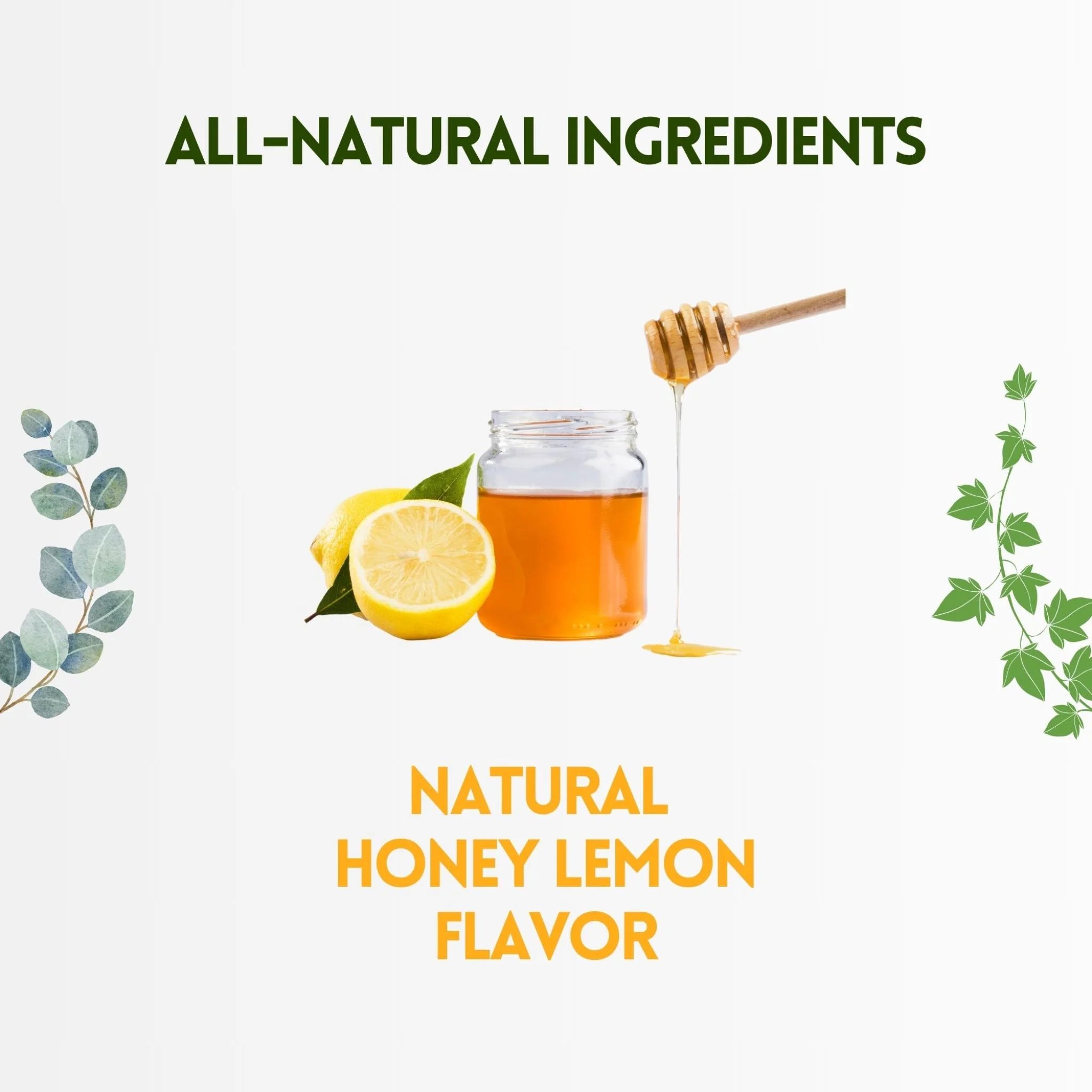 Herbion Sugar Free Honey Lemon 18 loz