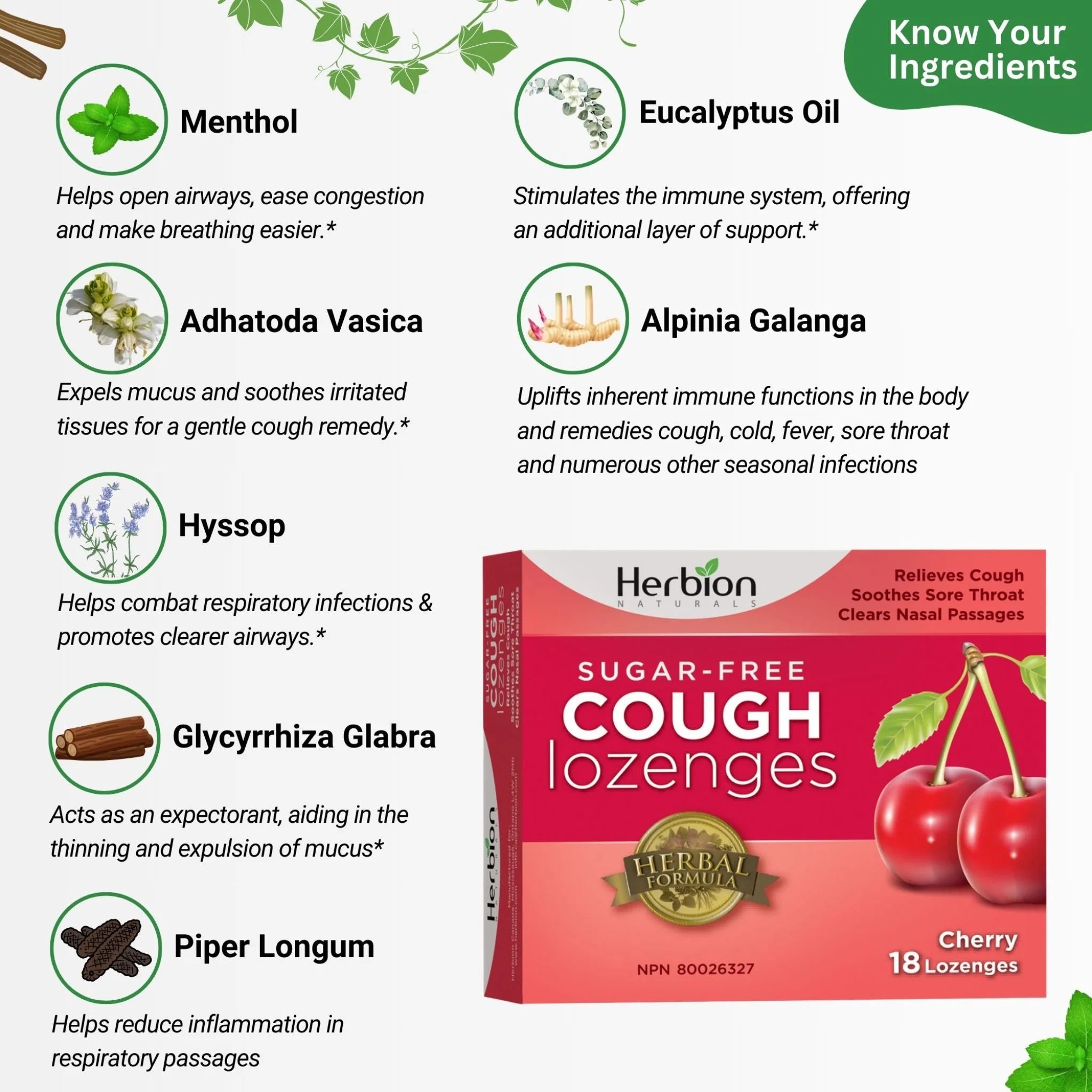 Herbion Sugar Free Cherry Cough 18 loz