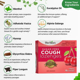Herbion Sugar Free Cherry Cough 18 loz