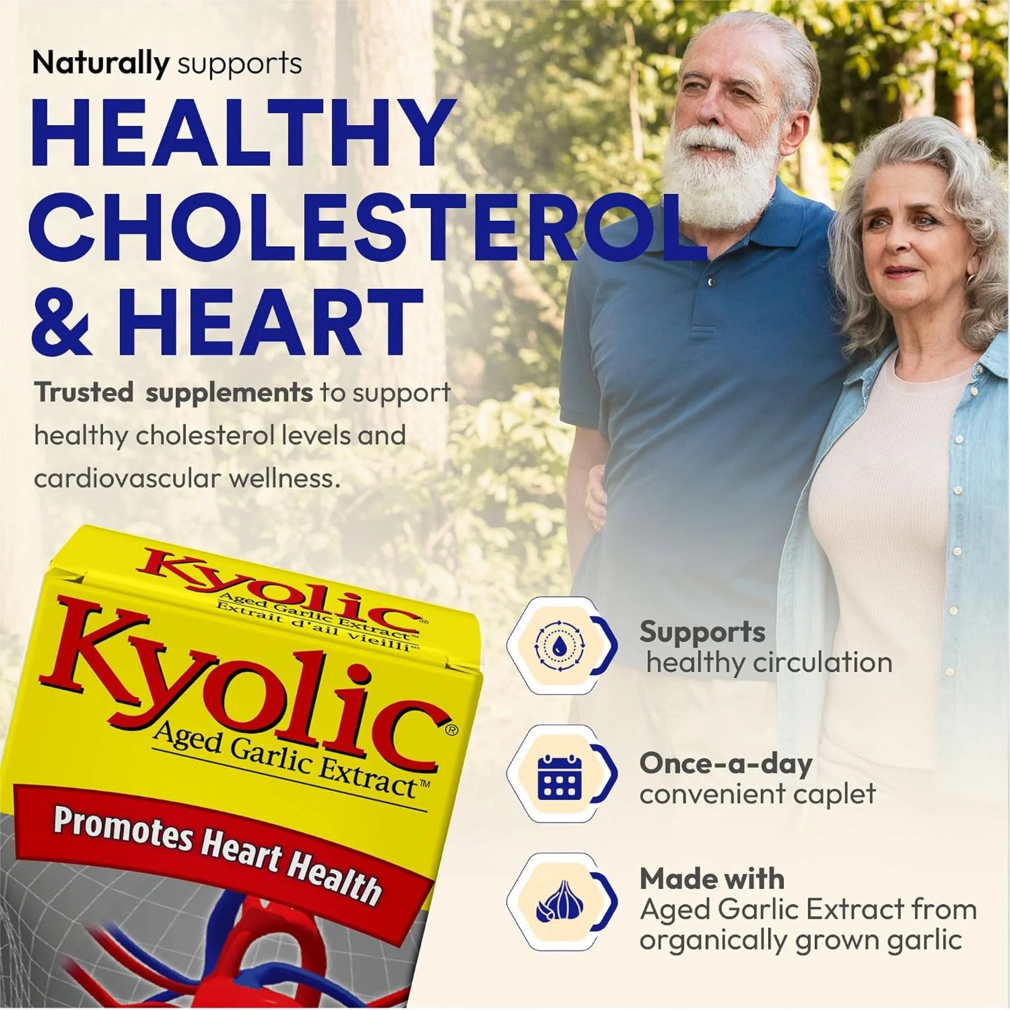 Kyolic Aged Garlic Extract Once A Day 30 veg caplets
