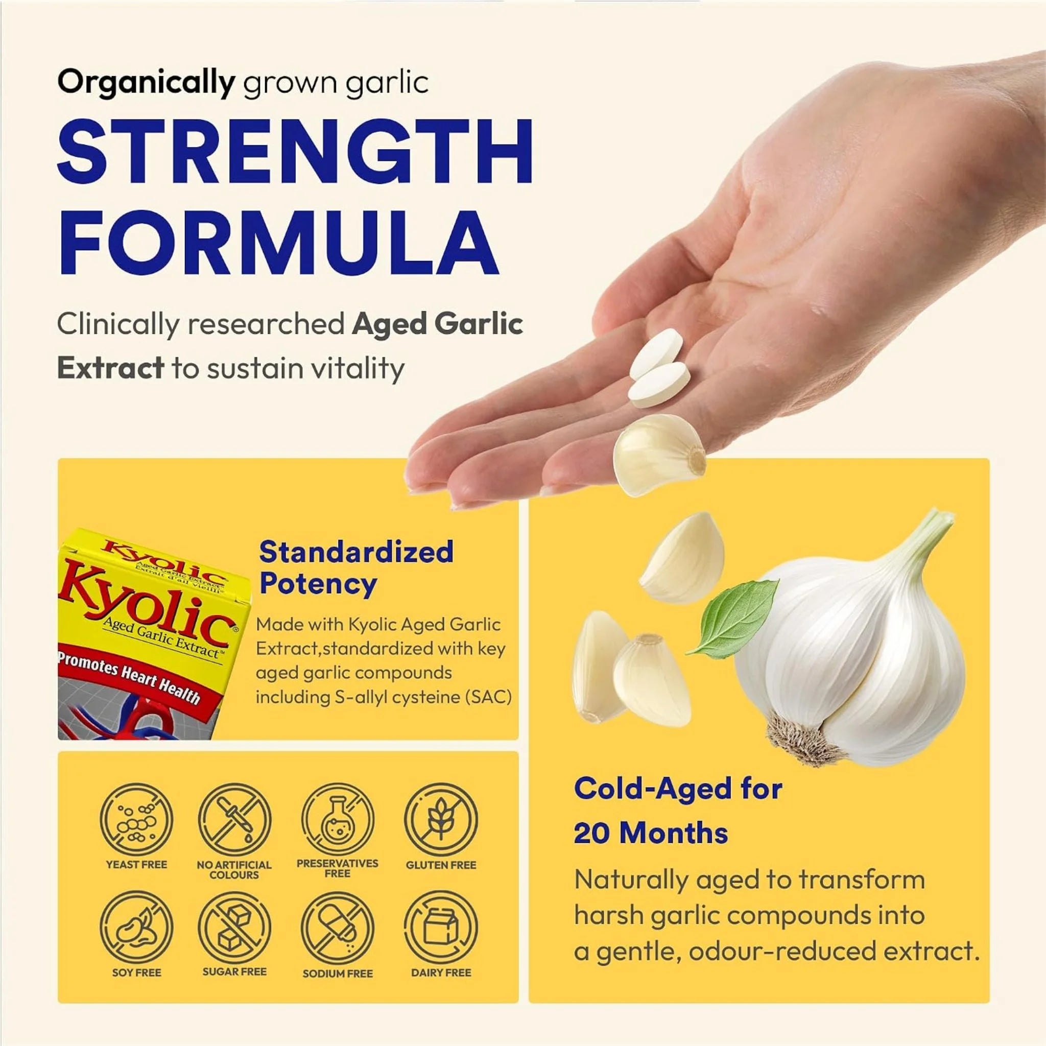 Kyolic Aged Garlic Extract Once A Day 30 veg caplets