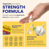 Kyolic Aged Garlic Extract Once A Day 30 veg caplets