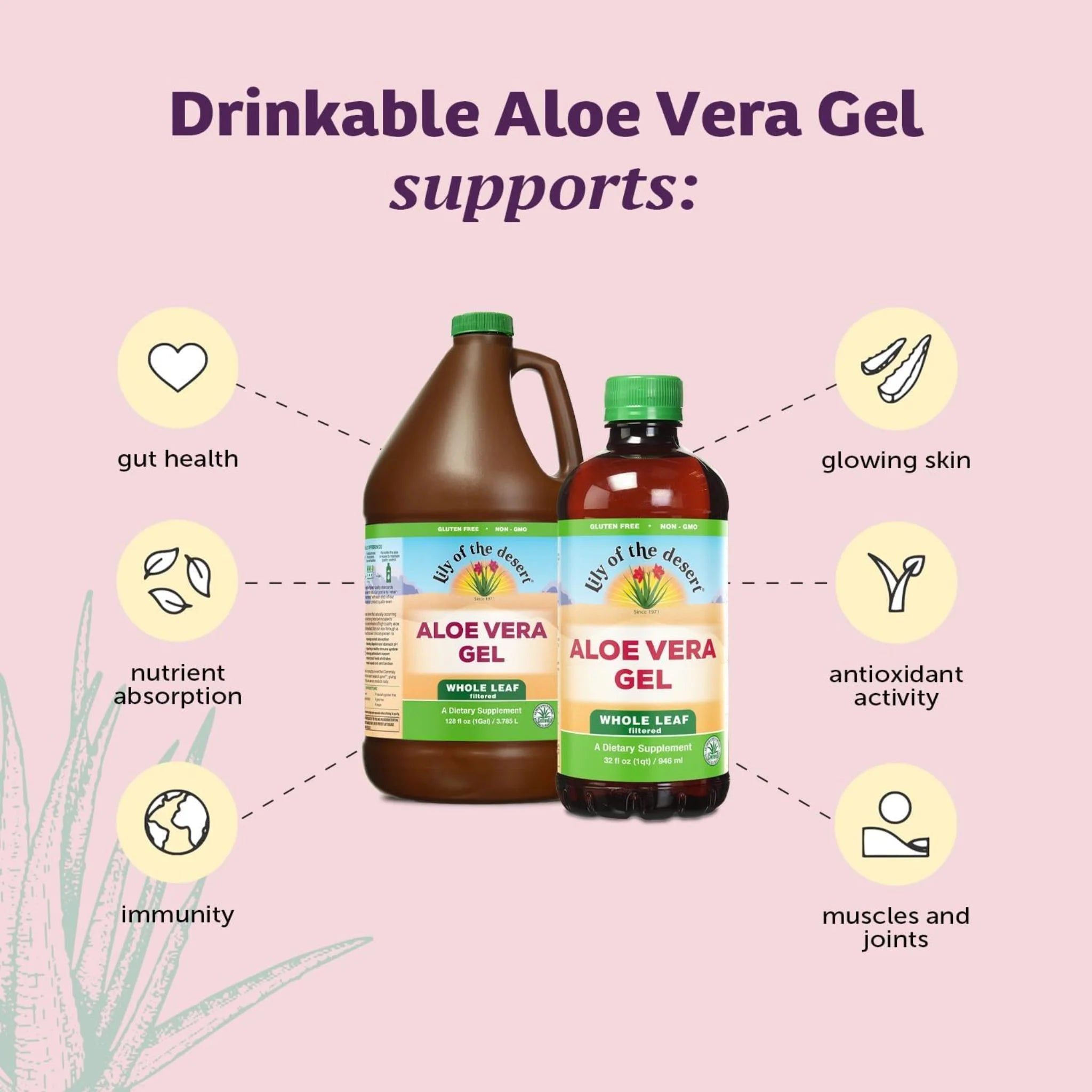 Lily of the Desert Aloe Vera Gel Whole Leaf Plastic 946ml