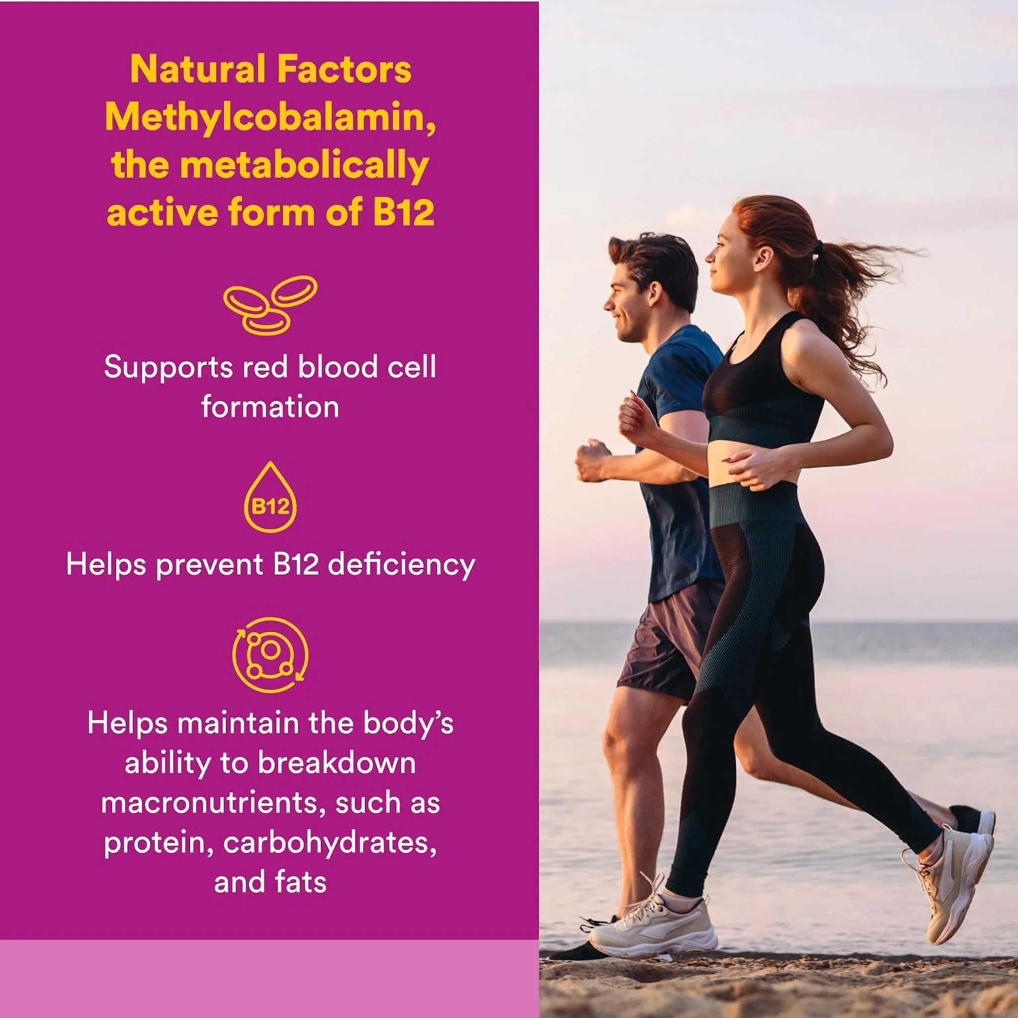 Natural Factors B12 Methylcobalamin 1000 mcg 90ct