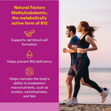 Natural Factors B12 Methylcobalamin 1000 mcg 90ct