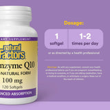Natural Factors Coenzyme Q10 100 mg 120sg - Nature's Source Inc