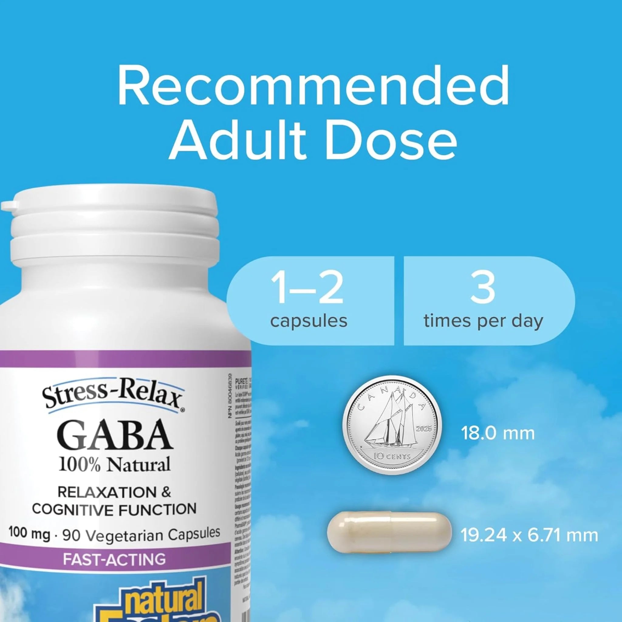 Natural Factors GABA 100 mg 90vc