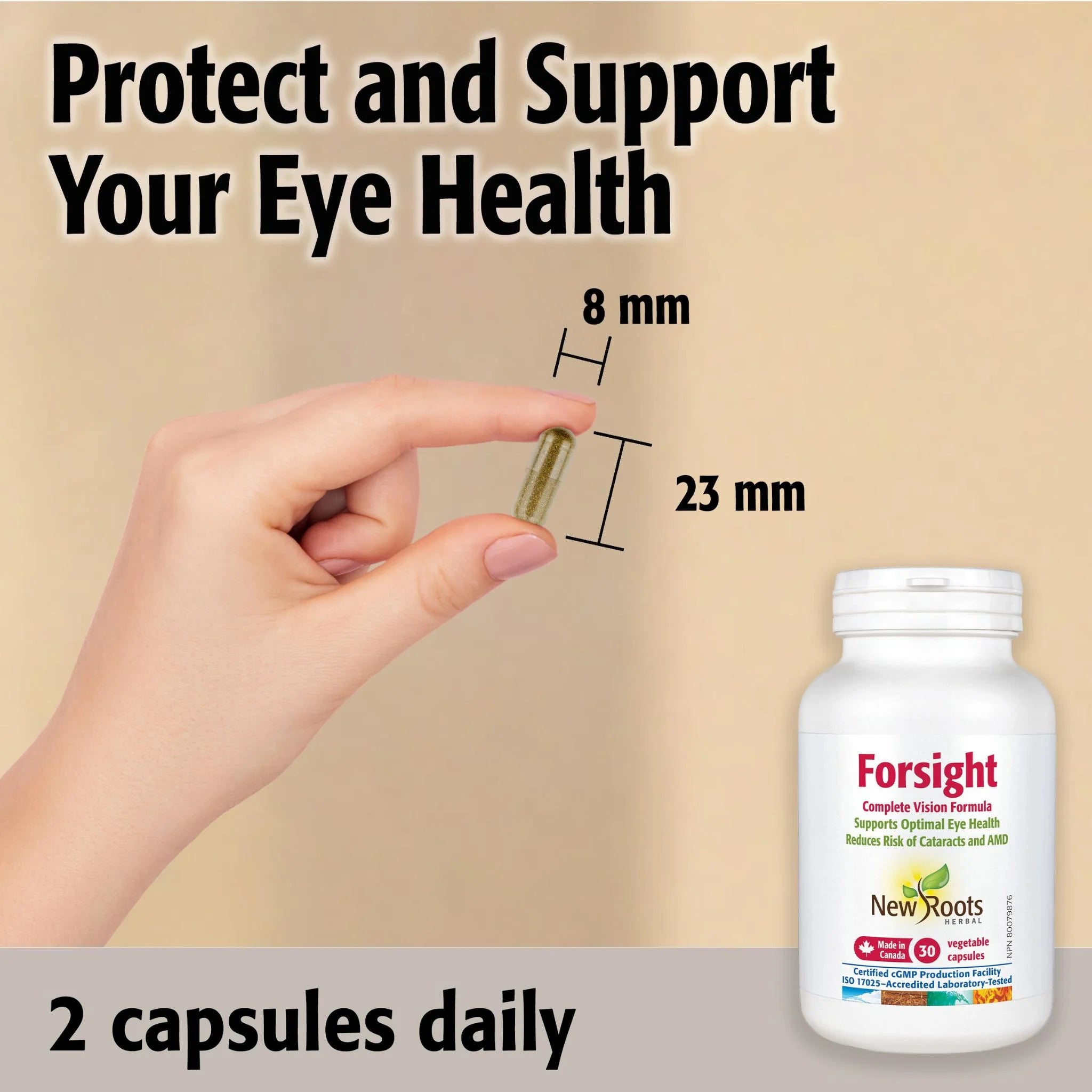 New Roots Forsight 60C