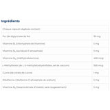 NFH Iron SAP, 60 Capsules - Nature's Source Inc