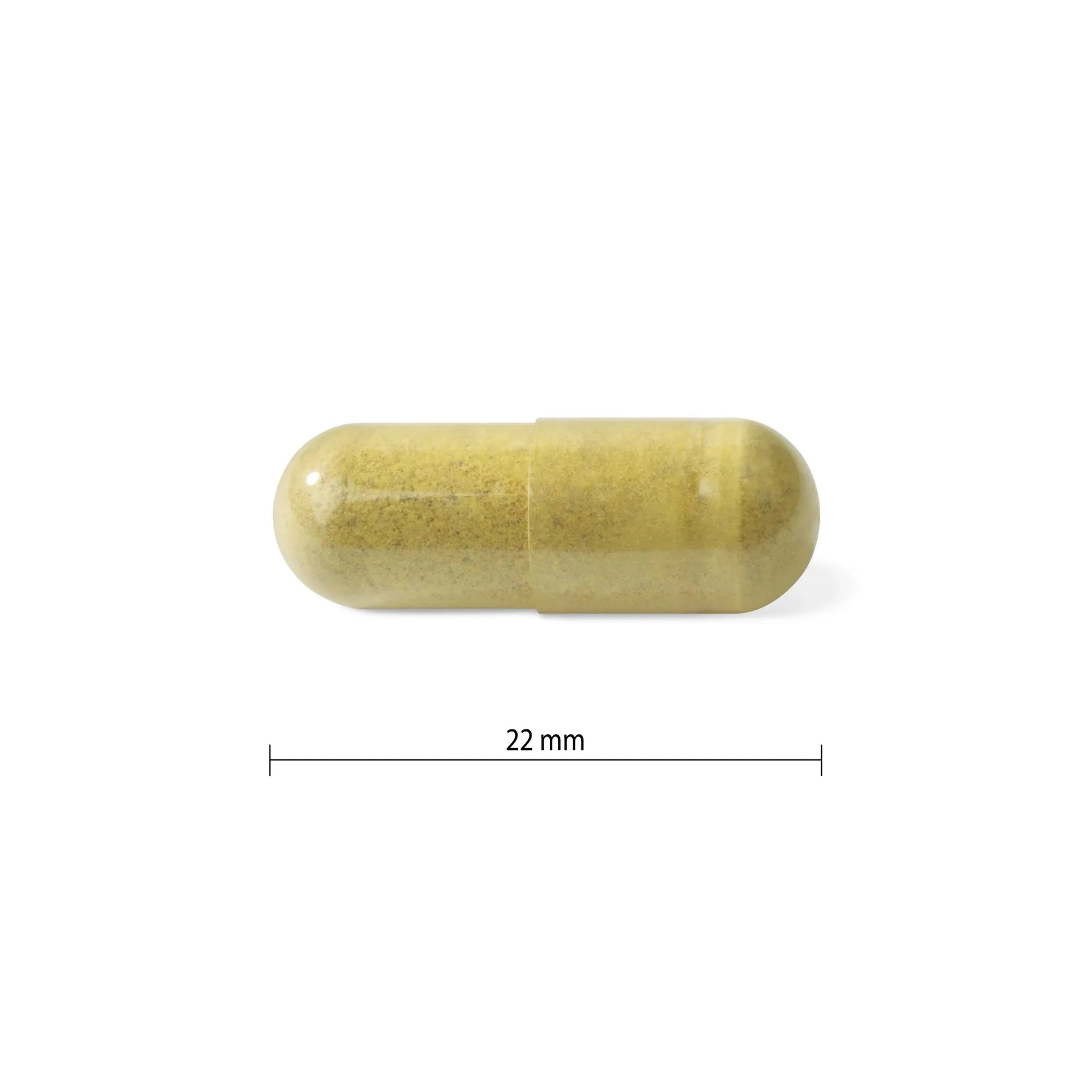 Progressive Adult Women MultiVitamins - 120 Veg Capsules - Nature's Source Inc