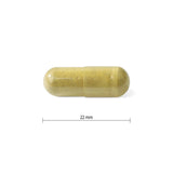 Progressive Adult Women MultiVitamins - 120 Veg Capsules - Nature's Source Inc