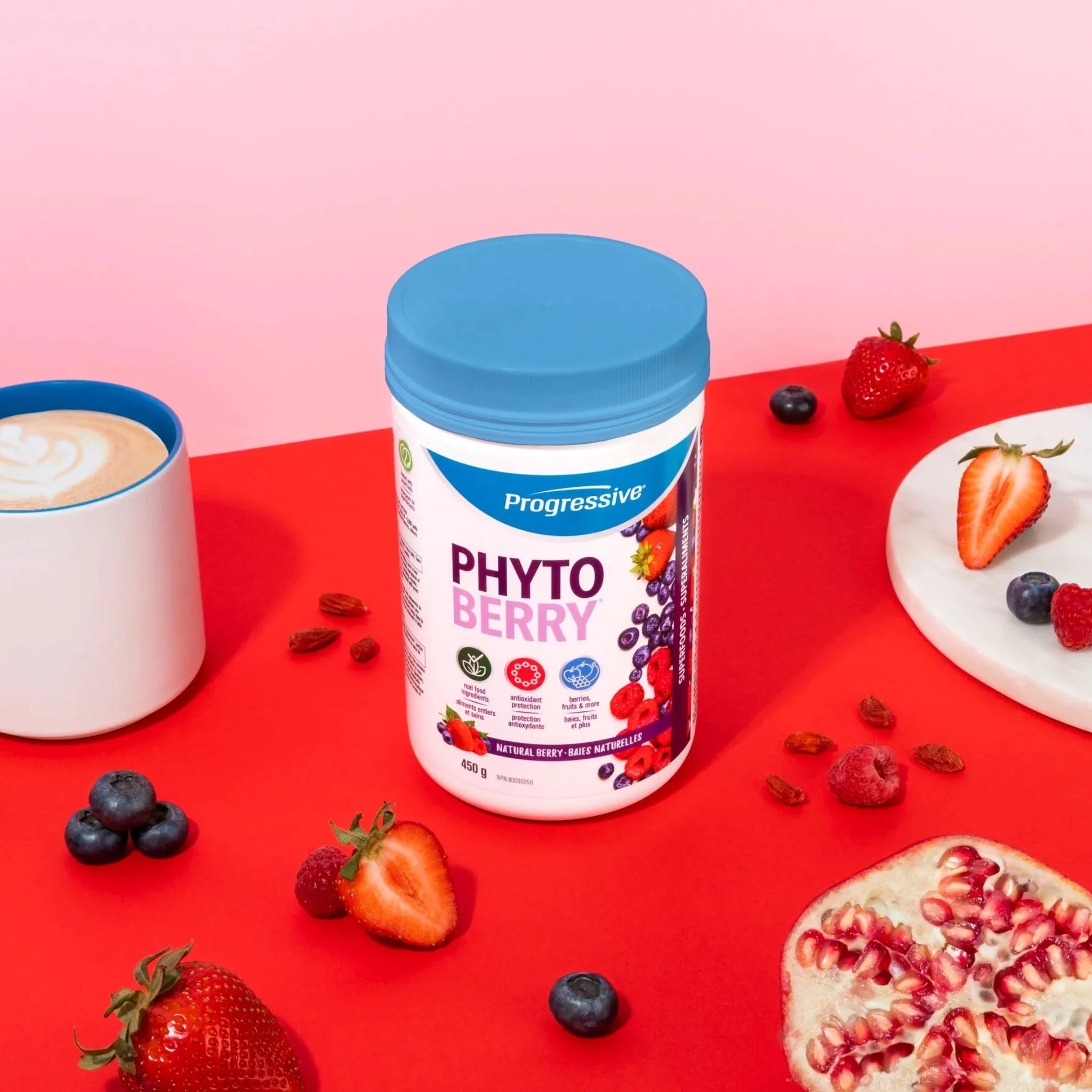 Progressive PhytoBerry 900g - Nature's Source Inc
