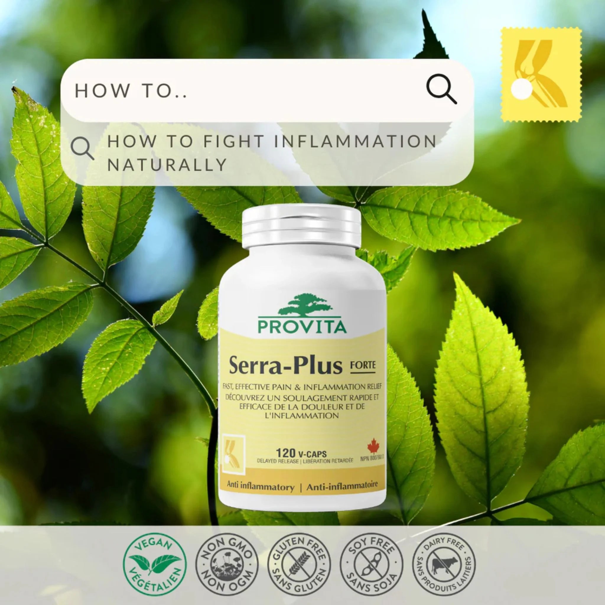 Provita Serra-Plus Forte 60 capsules - Nature's Source Inc