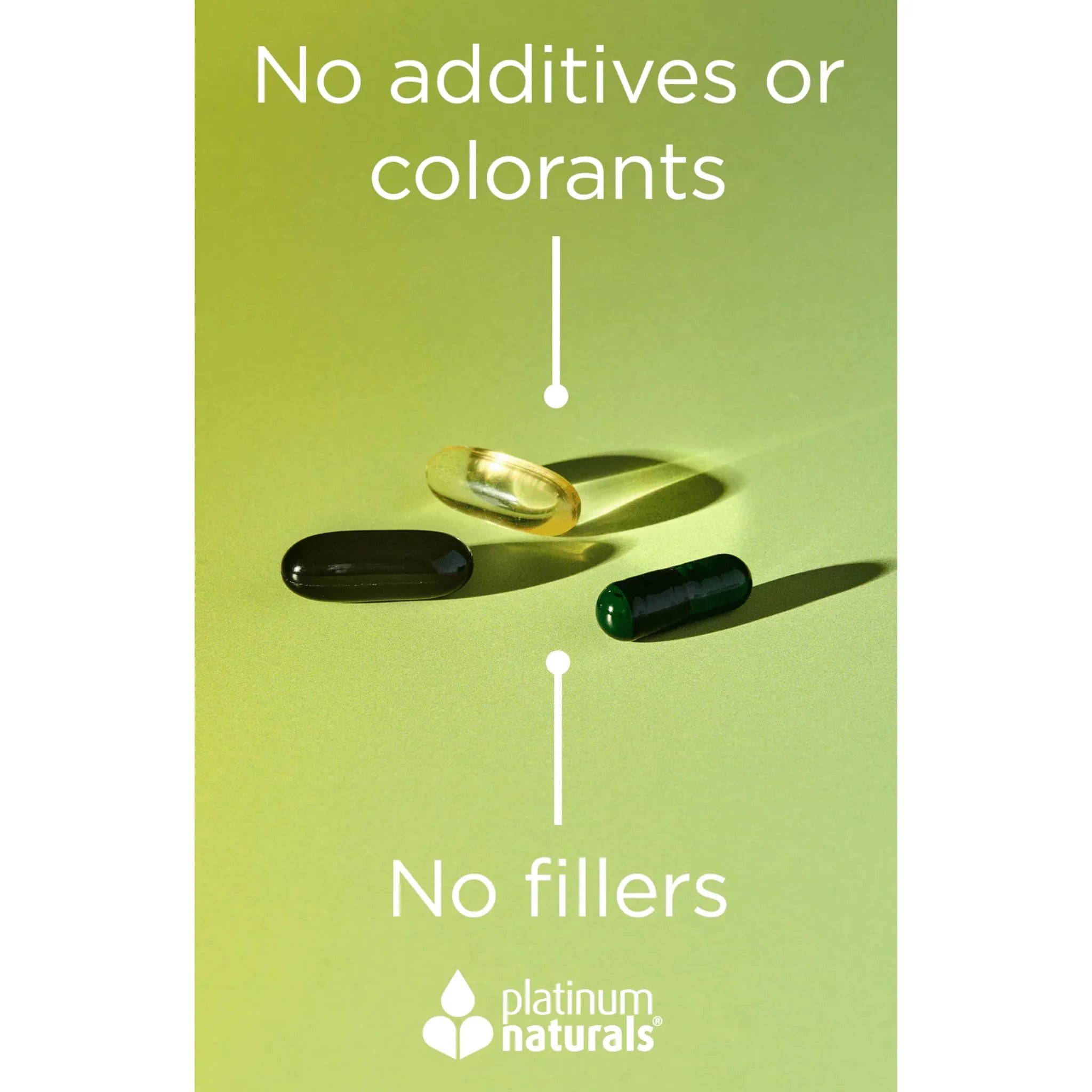 Platinum Naturals Easy Iron 120 Veg-Caps - Nature's Source Inc