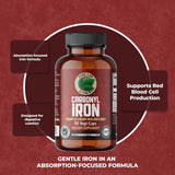 Pure Lab Vitamins Carbonyl Iron 90 VC - Nature's Source Inc