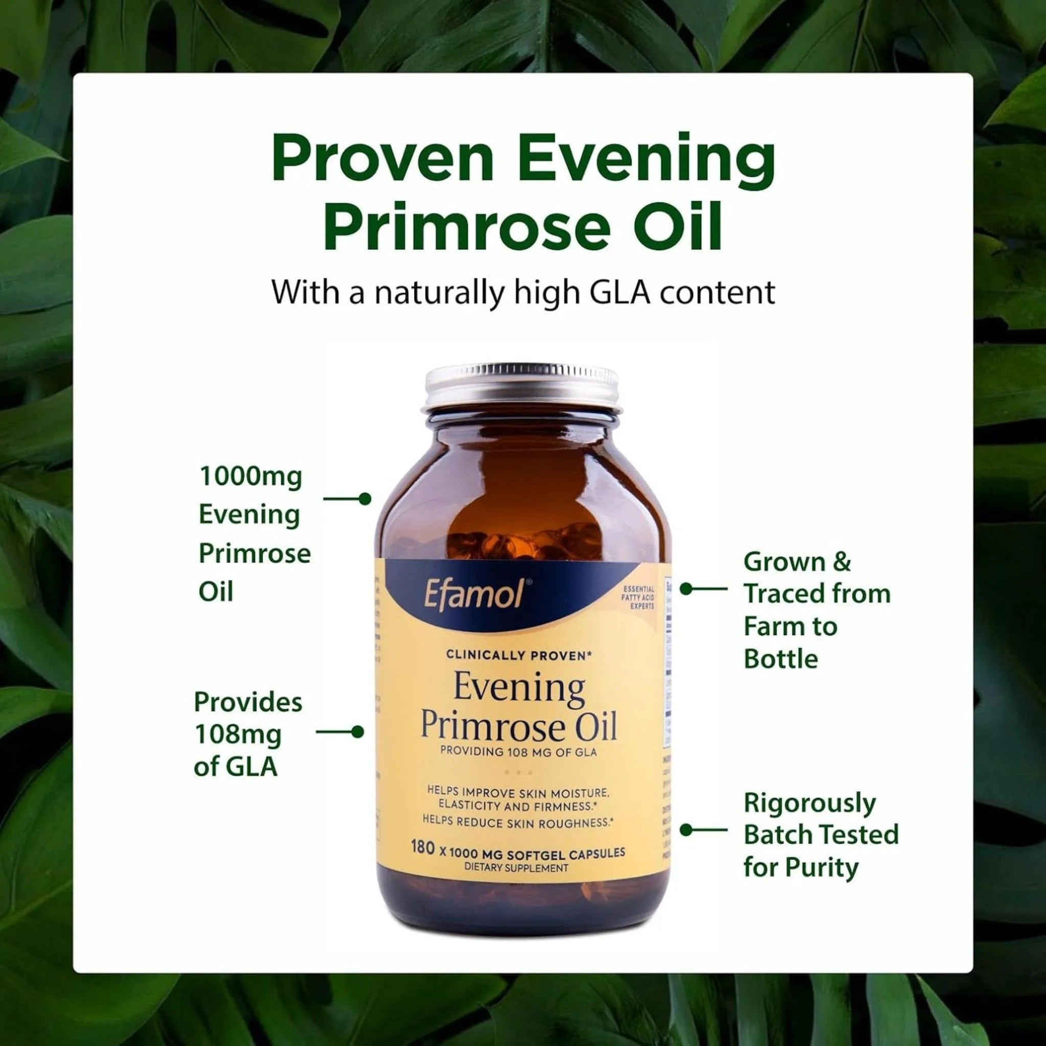 Efamol Evening Primrose Oil 1000mg 180 Capsules - Nature's Source Inc