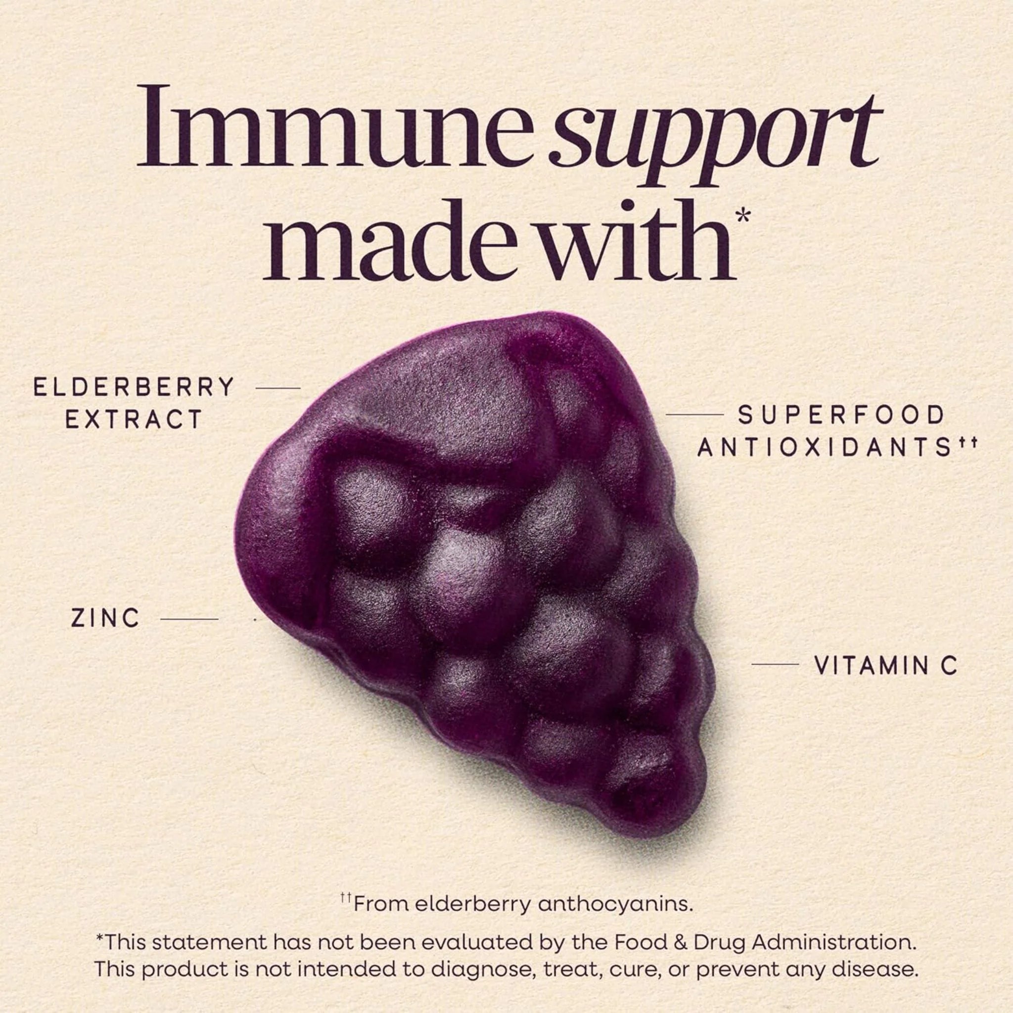 Nature's Way Sambucus Elderberry Kids 60 Gummies - Nature's Source Inc