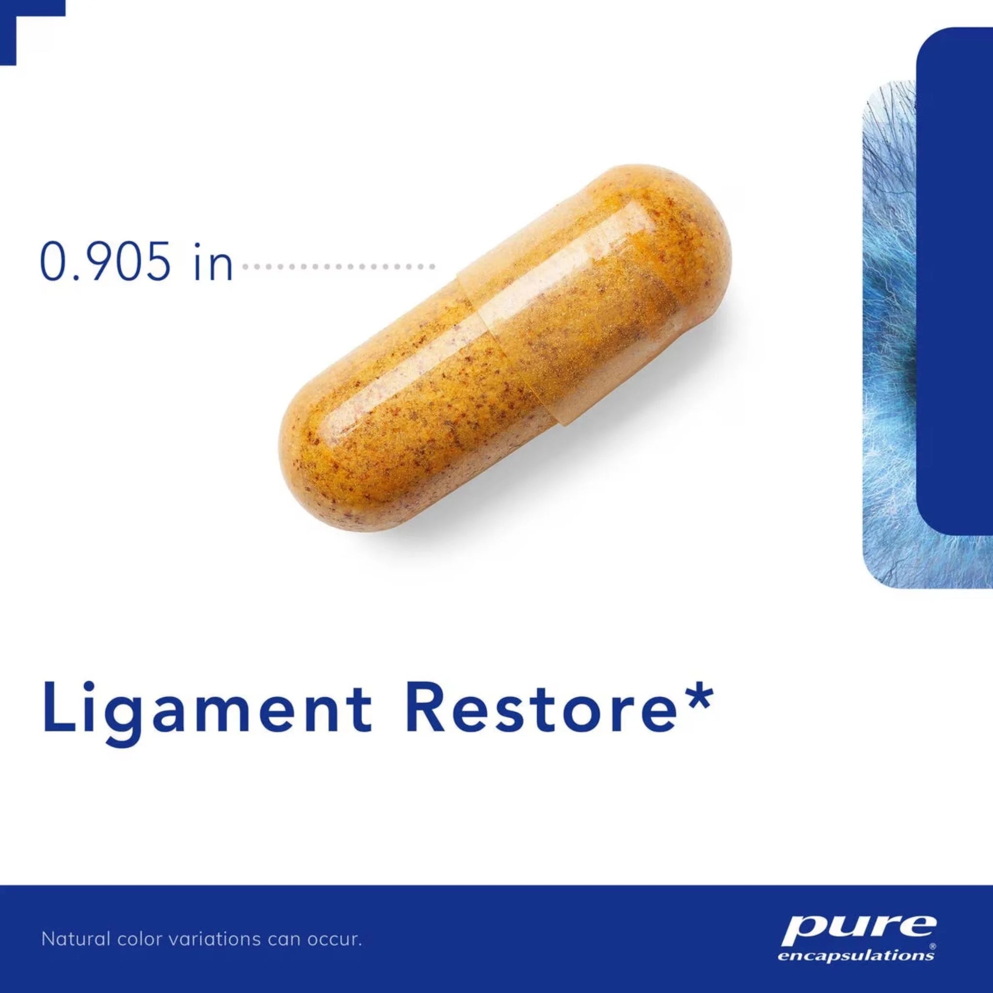 Pure Encapsulations Ligament Restore - 120 Capsules - Nature's Source Inc