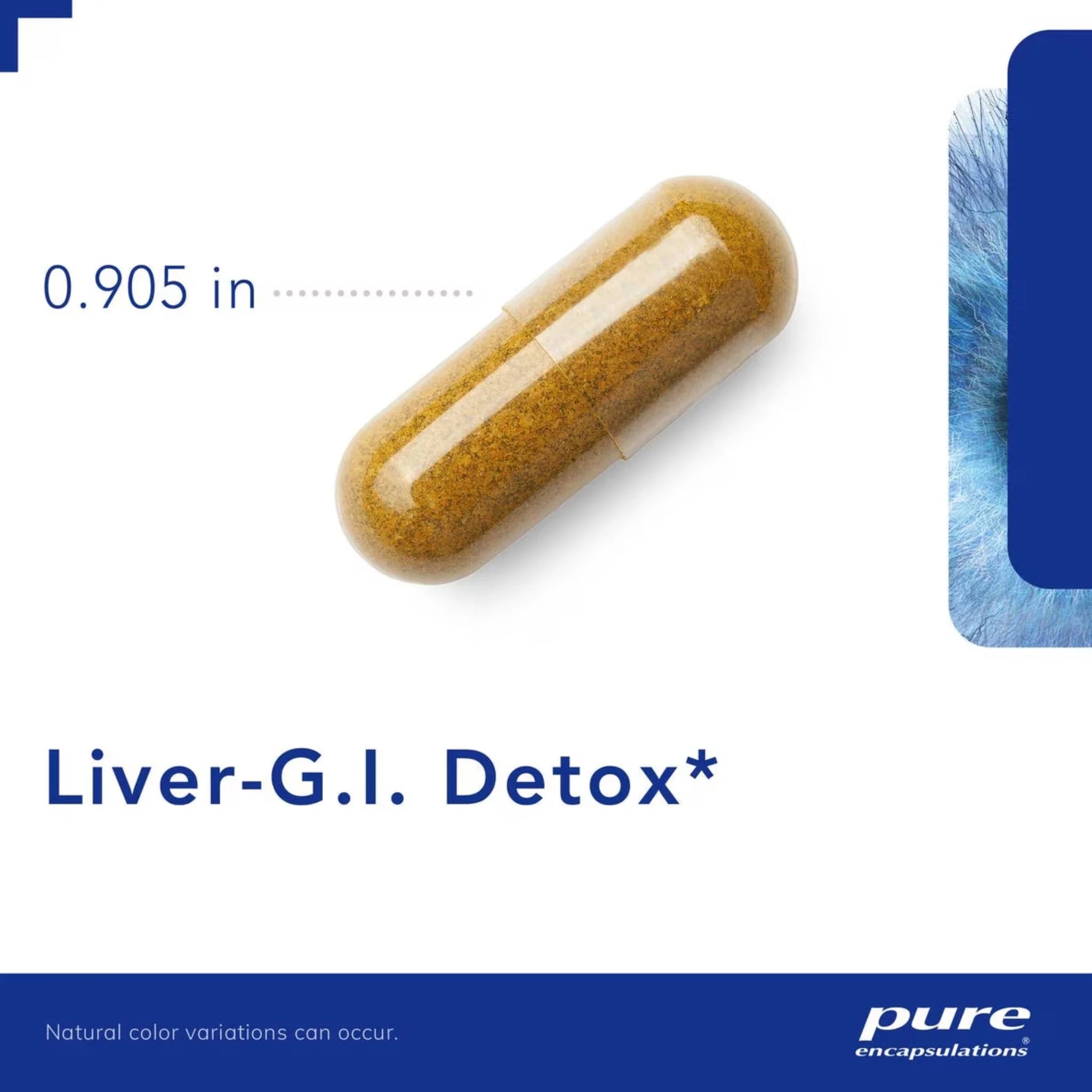 Pure Encapsulations Liver - G.I. Detox 60 Capsules - Nature's Source Inc