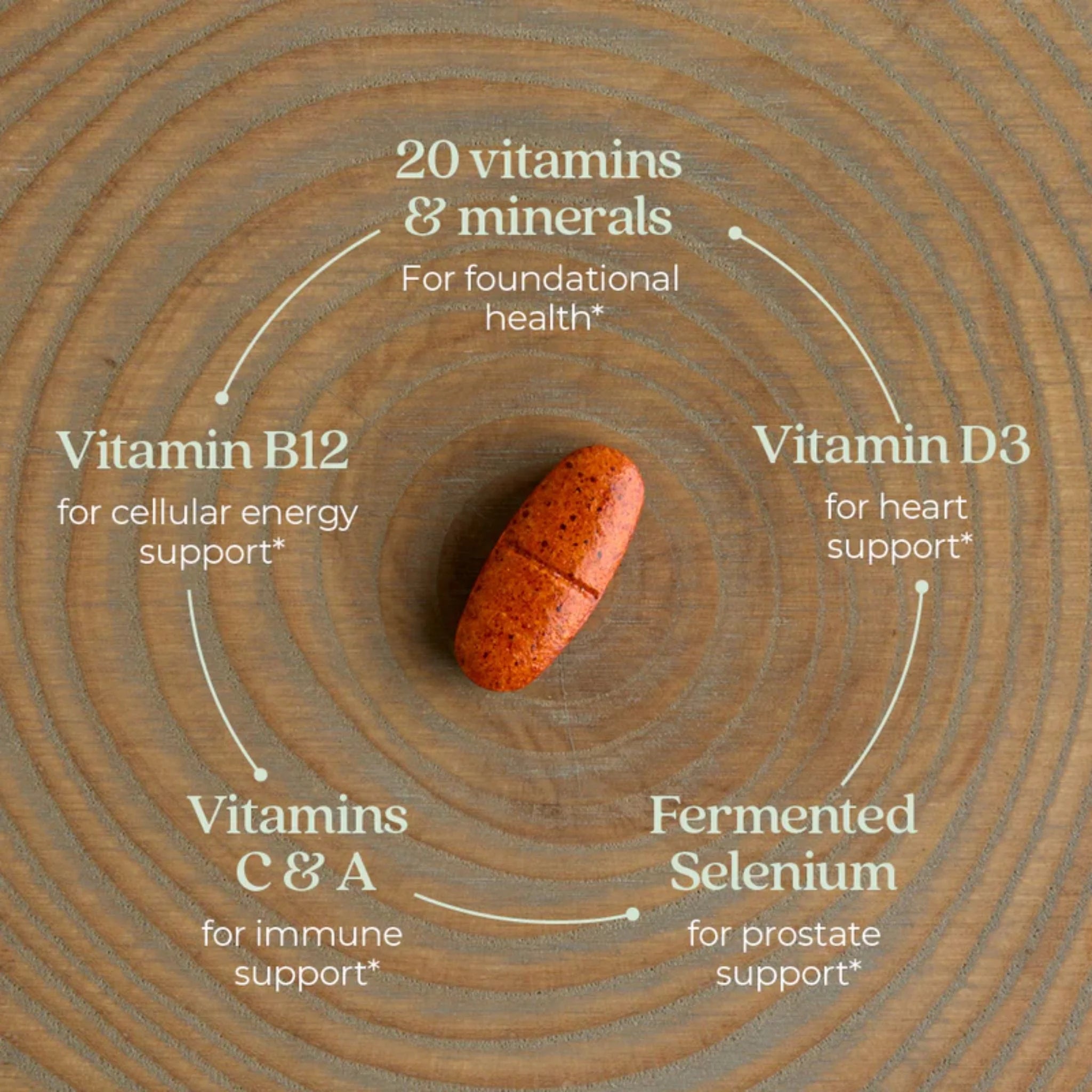 New Chapter Every Man's One Daily 55+ 60 Tablets - Nature's Source Inc
