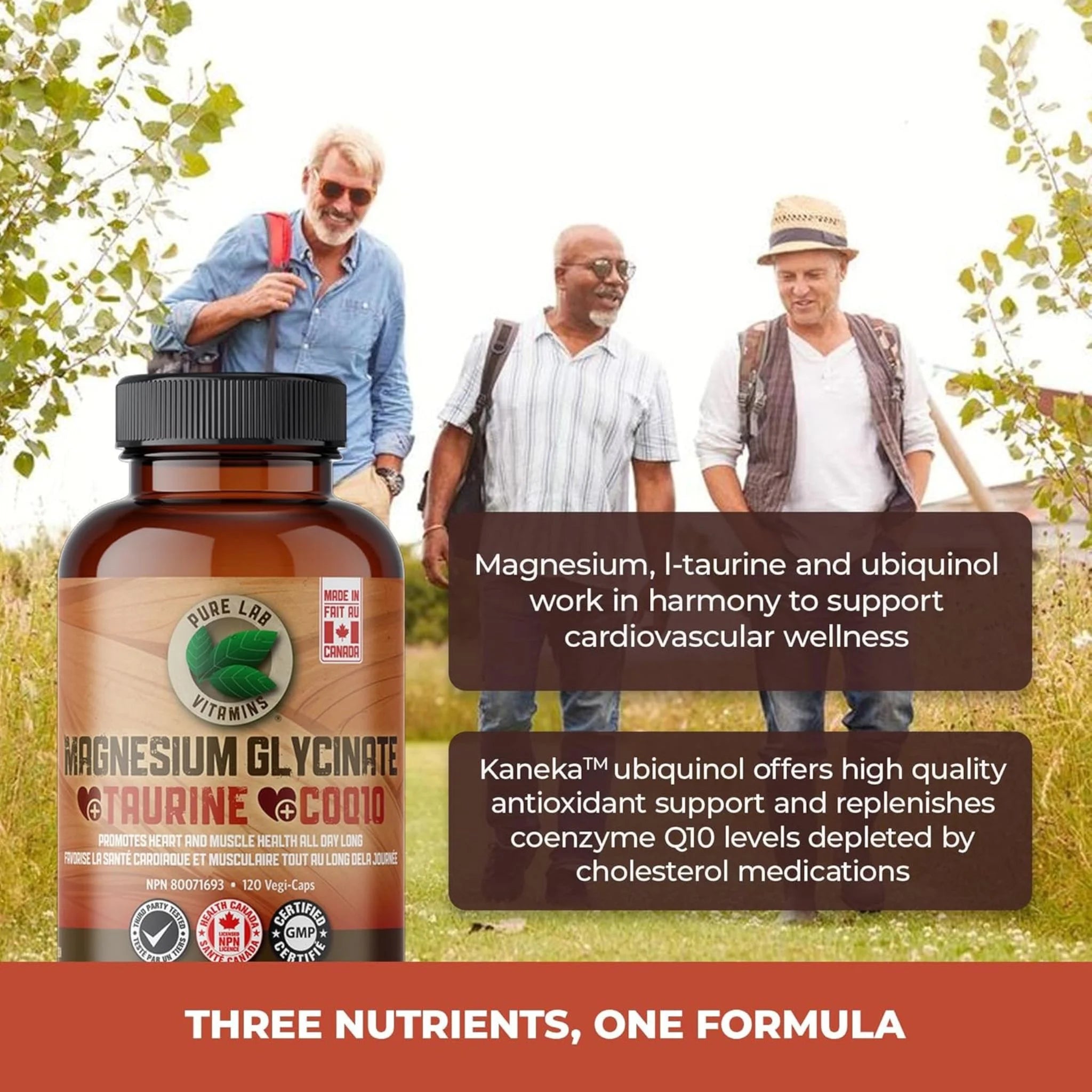 Pure Lab Vitamins Magnesium Glycinate L-Taurine CoenzymeQ10 120 v-caps