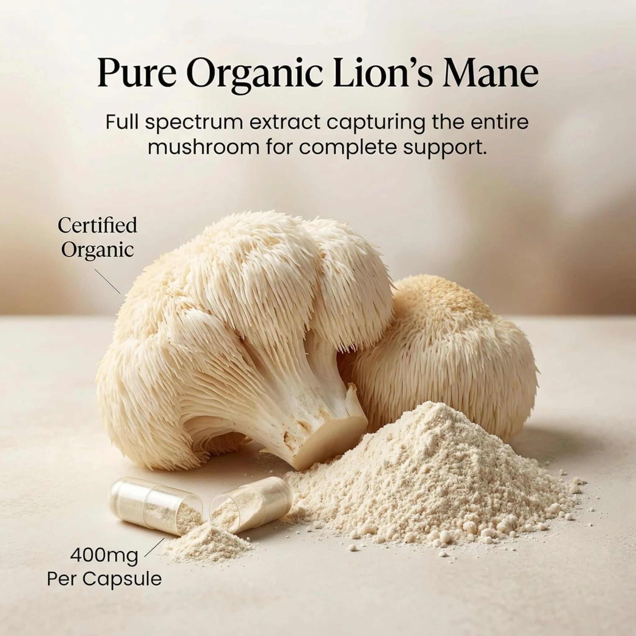Purica Lion's Mane (Micronized Mushroom) 120 Vegan Capsules
