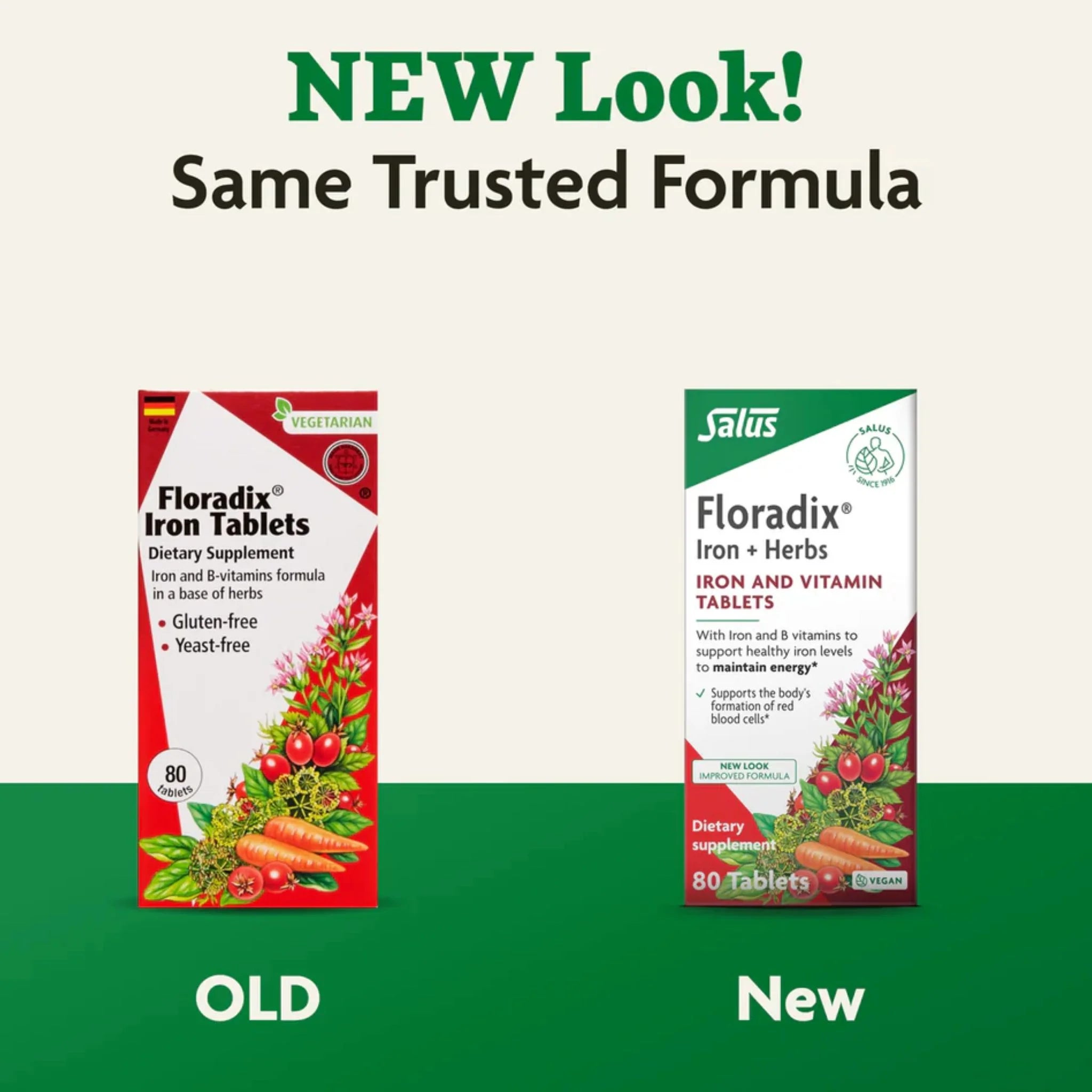Salus Floradix Iron - 80 Tablets - Nature's Source Inc