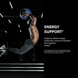 Designs for Sport Creatine Monohydrate 450 Grams - Nature's Source Inc