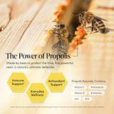 Beekeeper's Naturals Propolis Throat Relief Spray 30ml - Nature's Source Inc