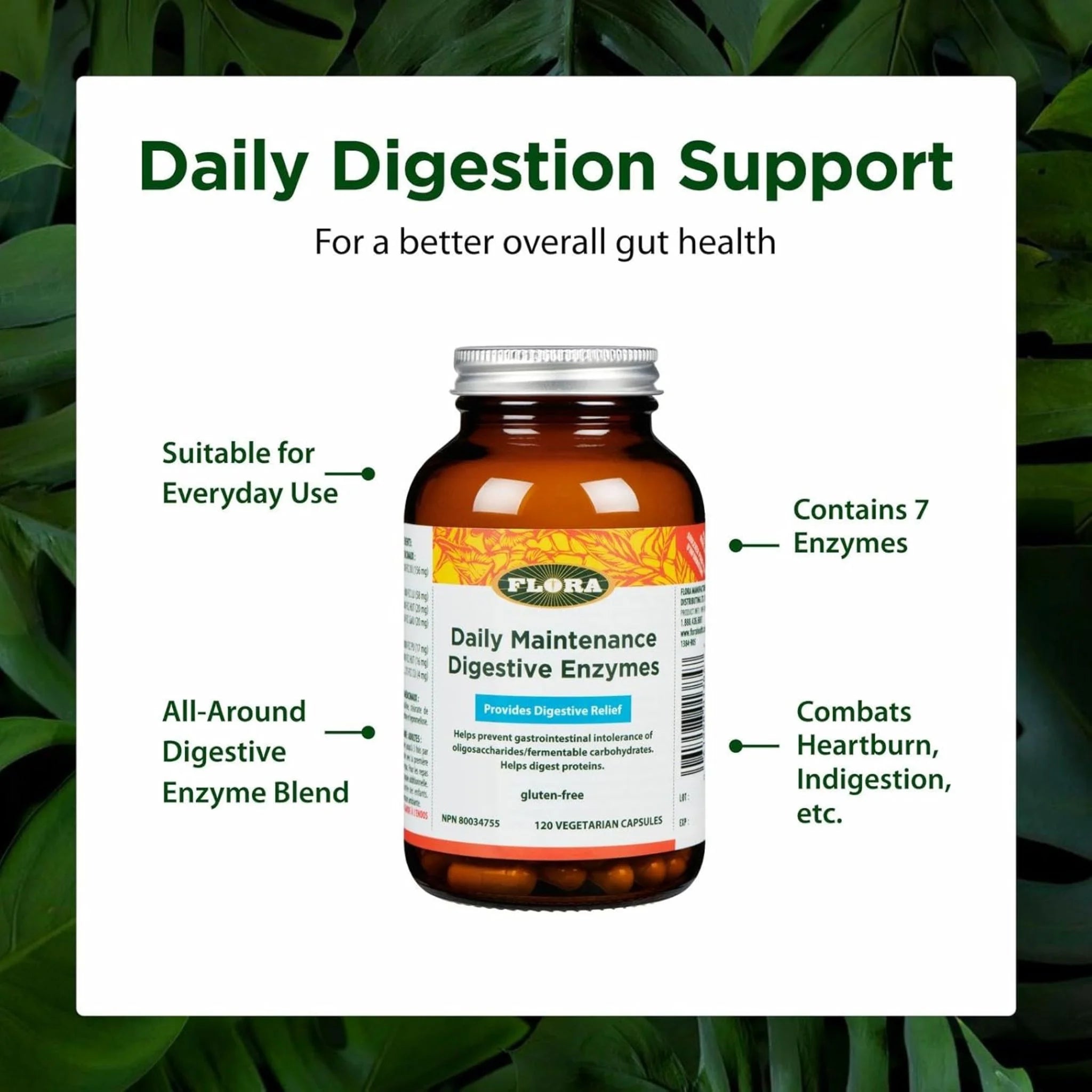 Flora Udo's Daily Maintenance Ultimate Digestive Enzyme 120 Veg Capsules