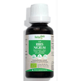 HerbalGem G34 Ribes nigrum 30ml