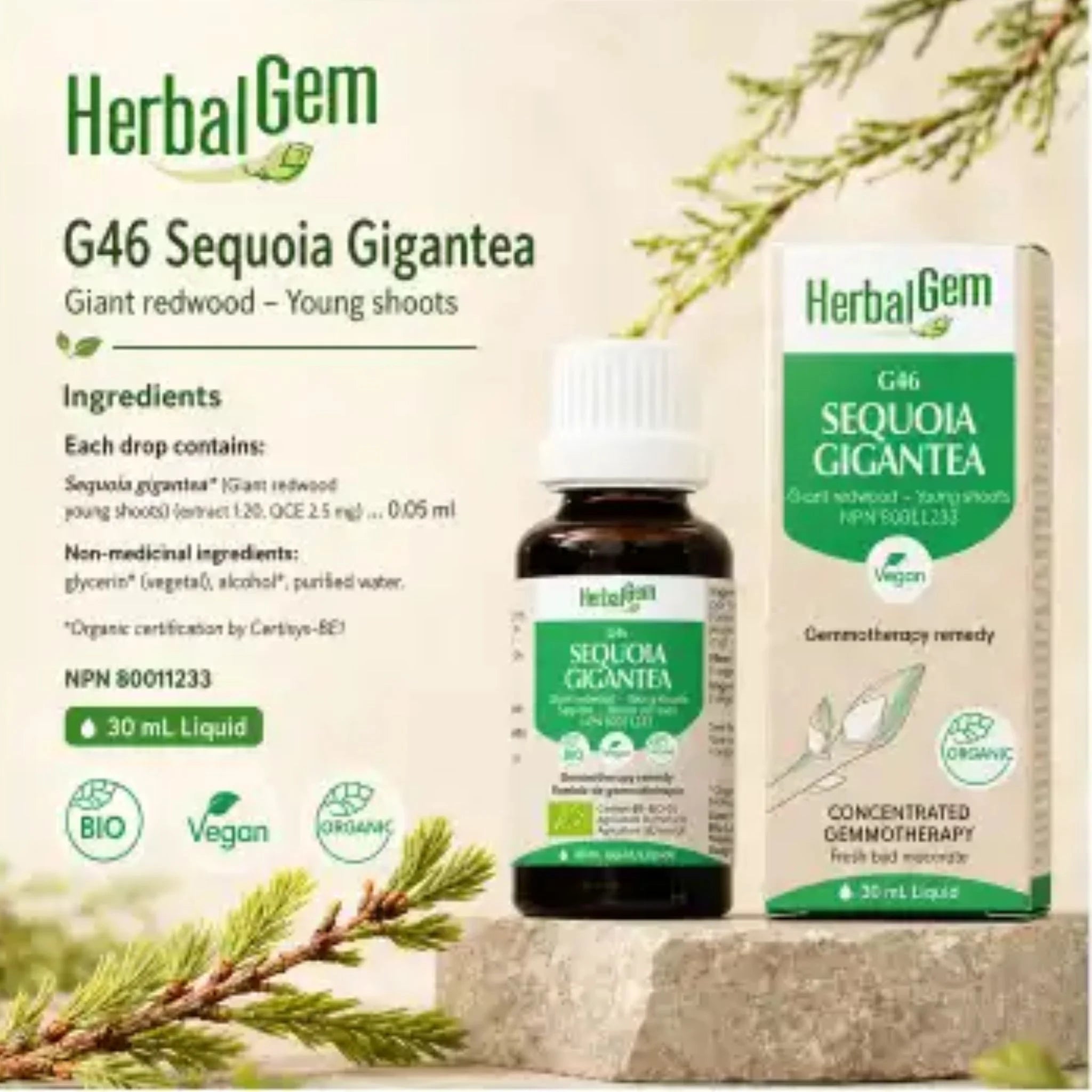 HerbalGem G46 Sequoia gigantea 30ml