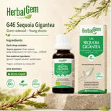 HerbalGem G46 Sequoia gigantea 30ml