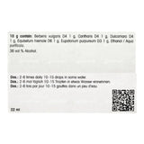 Dr. Reckeweg R18 22ml