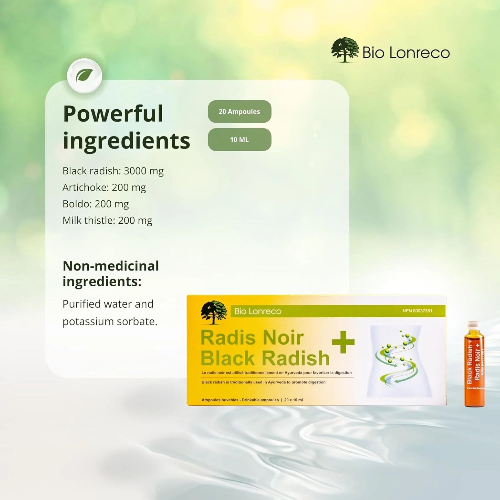 Bio Lonreco Black Radish 20x 10ml
