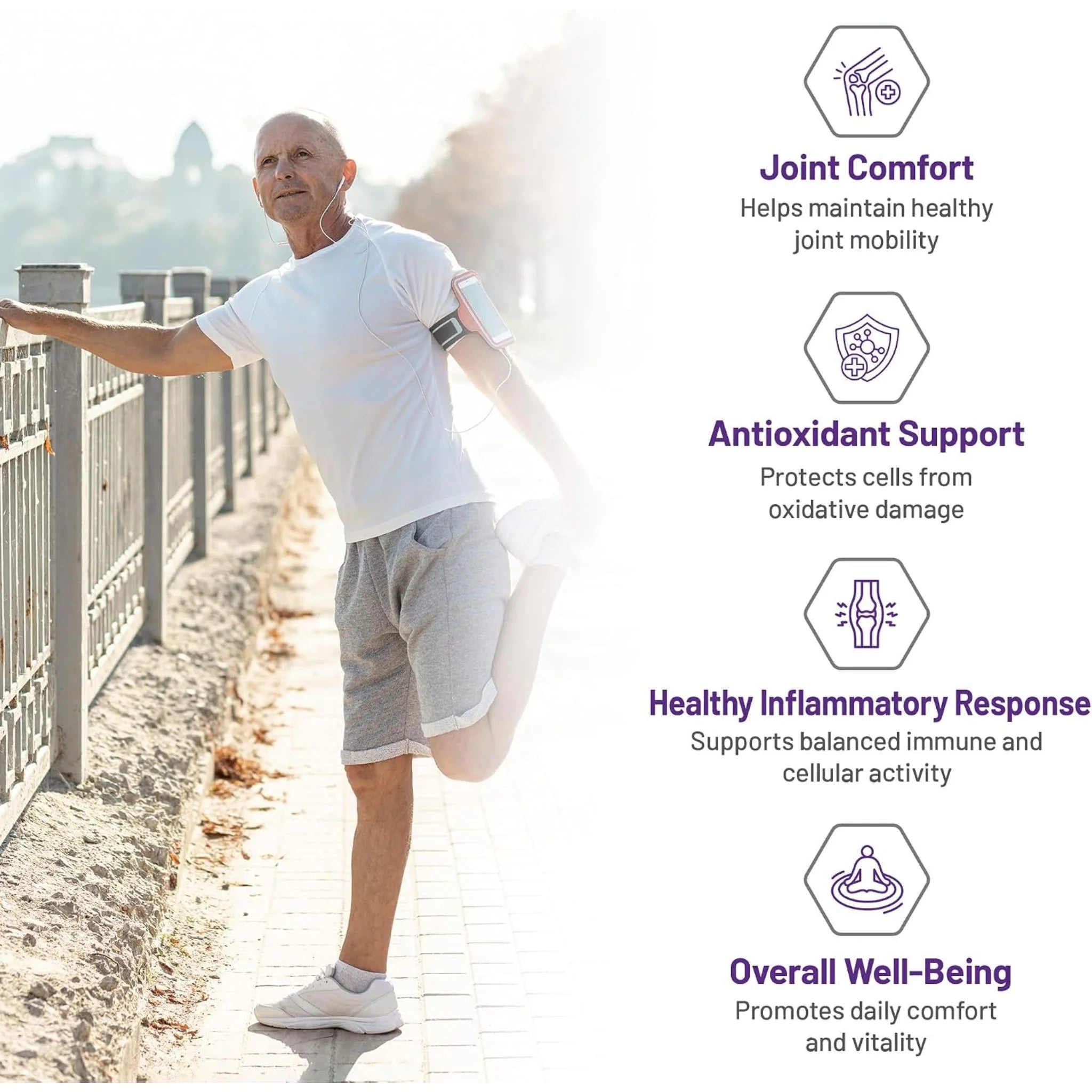 AOR Curcumin Active 133.3mg, 60 Vegan Capsules - Nature's Source Inc