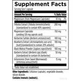 Designs for Health GI Microb X 60 Vegan Capsules - Nature's Source Inc