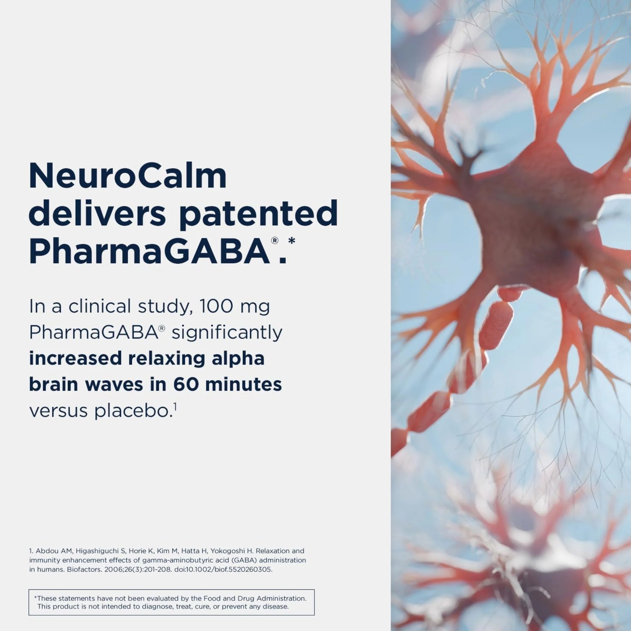 Designs for Health NeuroCalm 60 Vegan Capsules - Nature's Source Inc