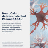 Designs for Health NeuroCalm 60 Vegan Capsules - Nature's Source Inc