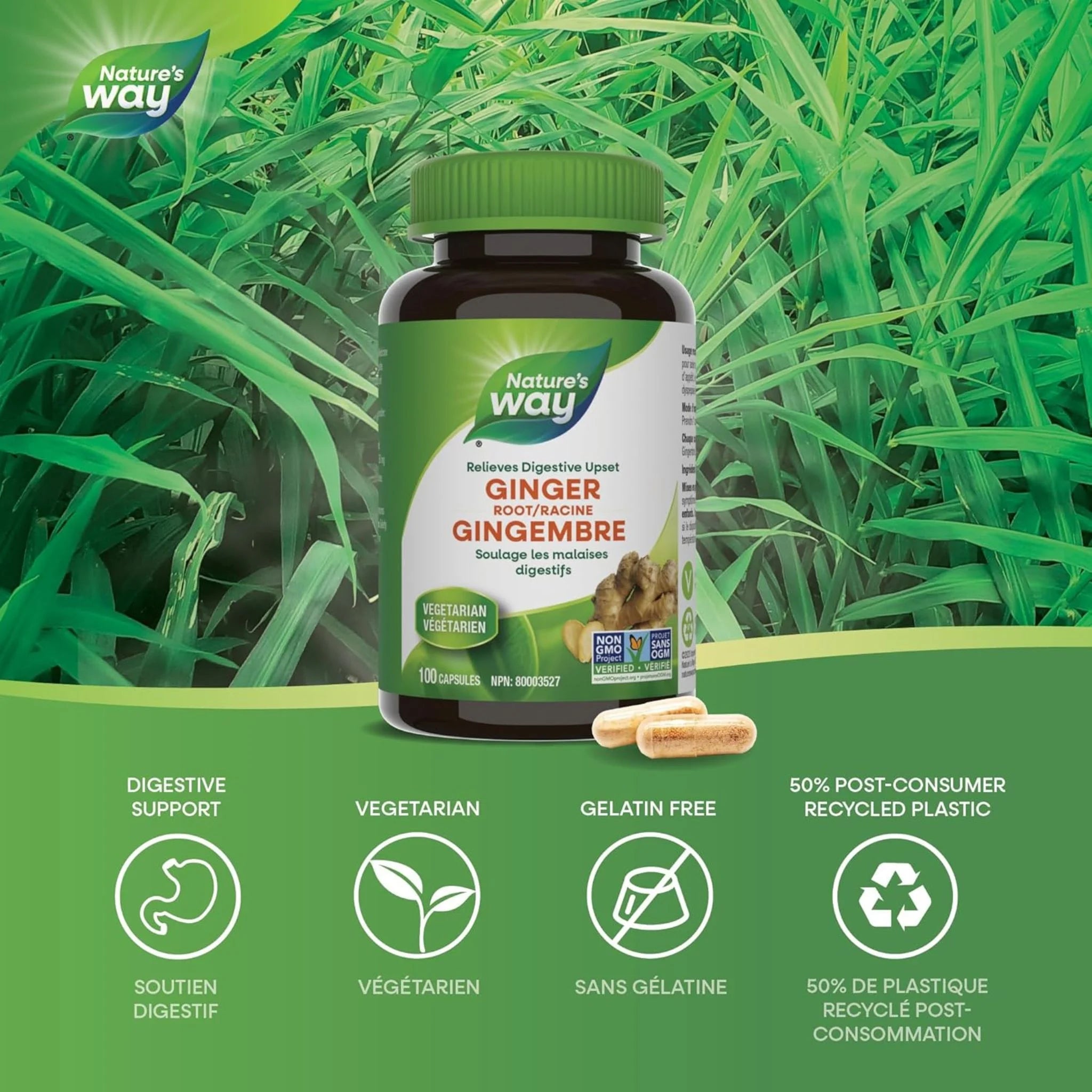 Nature's Way Ginger Root - 100 Veg Capsules