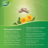 Nature's Way Dandelion Root 525mg 180 Capsules